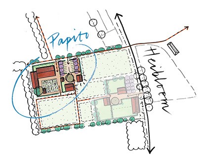 plattegrond-papito_heibloem-5_04.jpg